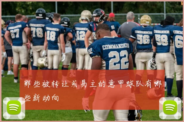 那些被转让或易主的意甲球队有哪些新动向